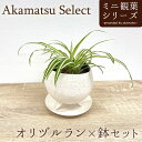 Akamatsu Select Id~Zbg 3 {j[