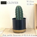 【現品限り】 柱サボテン × CLOVER(クローバー) ポット ウィズ ソーサー ブラック ゴールド 5号