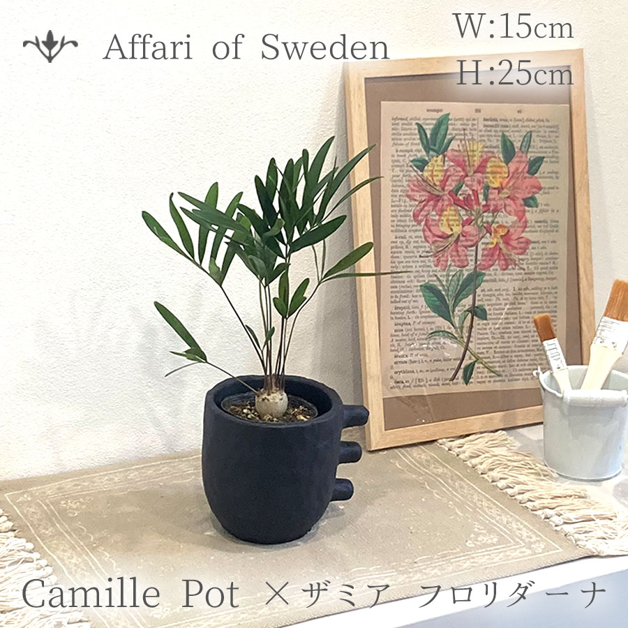 【現品限り】 ザミア フロリダーナ × Affari of Sweden(アファリ) カミーユポット ブラック 3号