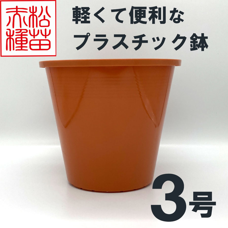 プラスチック鉢 3号 ブラウン 茶色 （1個） プラ鉢 ヤマトプラスチック