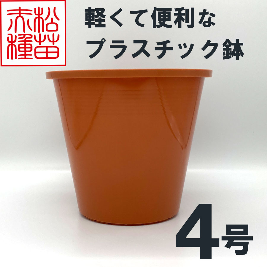 プラスチック鉢 4号 ブラウン 茶色 