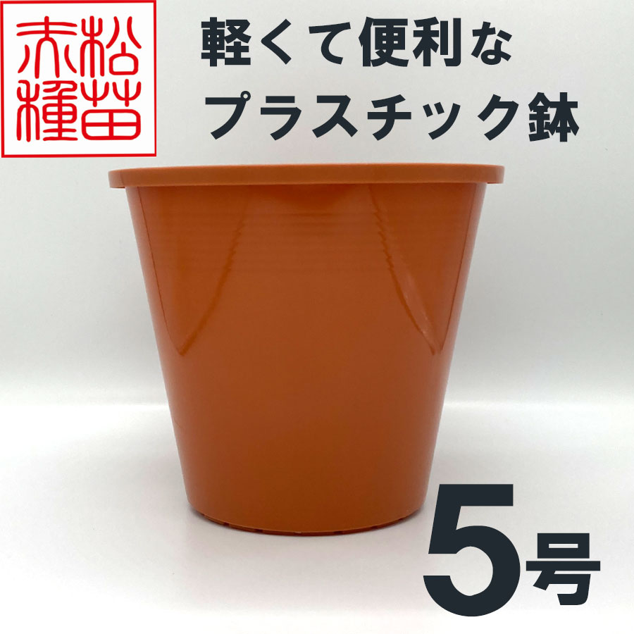 プラスチック鉢 5号 ブラウン 茶色 
