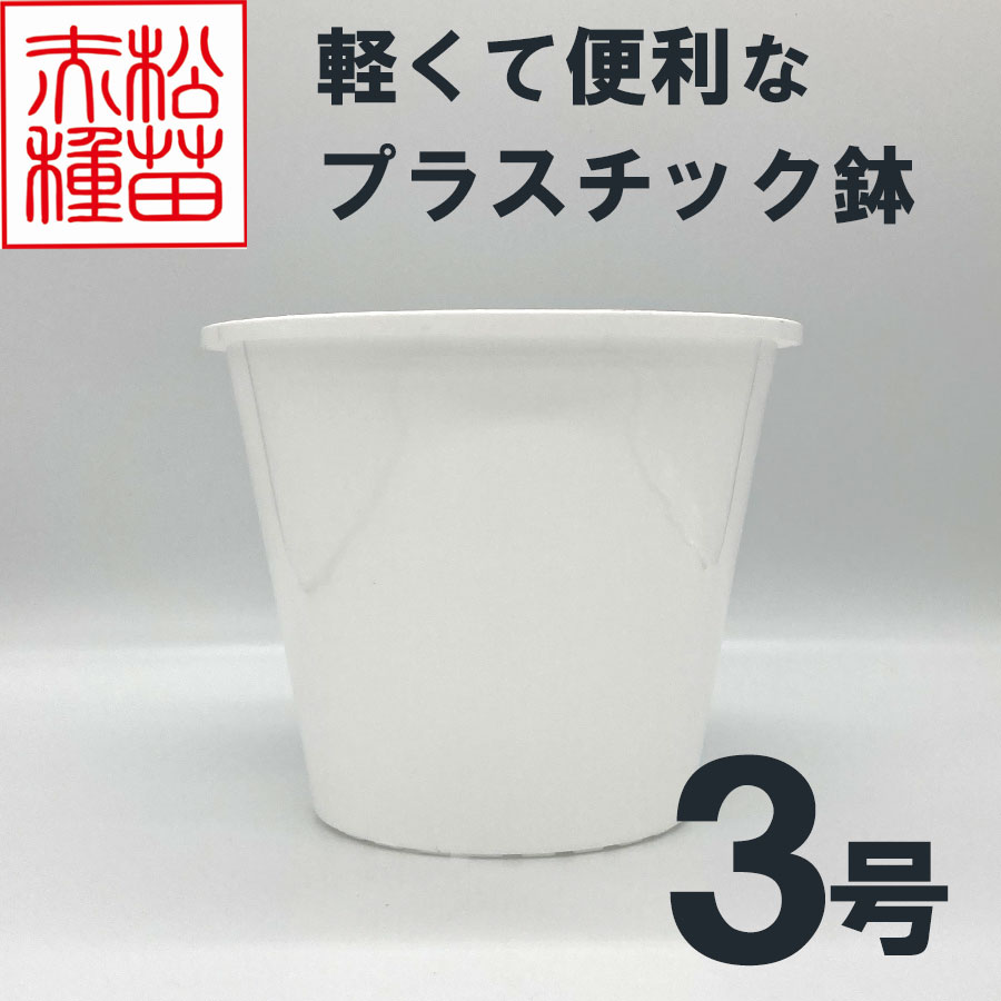 プラスチック鉢 3号 ホワイト 白 （1