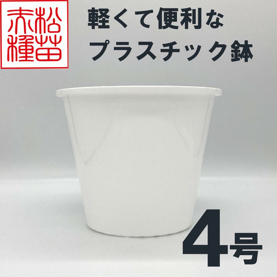 プラスチック鉢 4号 ホワイト 白 （1