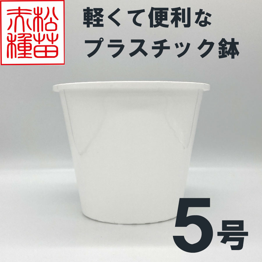 プラスチック鉢 5号 ホワイト 白 （1