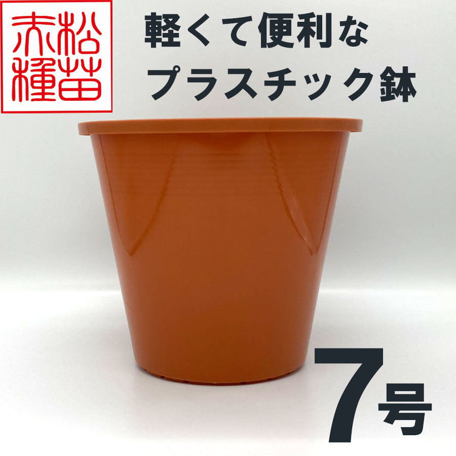 プラスチック鉢 7号 ブラウン 茶色 （1個） プラ鉢 ヤマトプラスチック