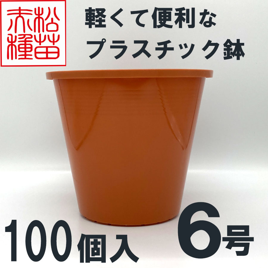 プラスチック鉢 6号 ブラウン 茶色 100個入 まとめ買い プラ鉢 ヤマトプラスチック