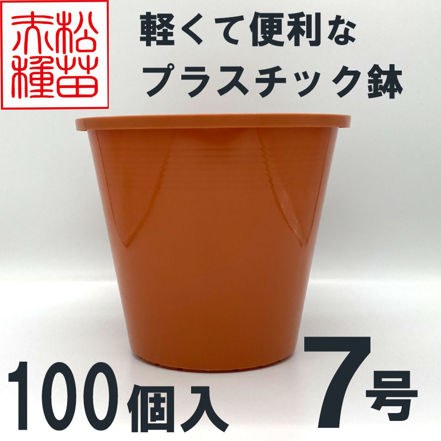 プラスチック鉢 7号 ブラウン 茶色 100個入 まとめ買い プラ鉢 ヤマトプラスチック