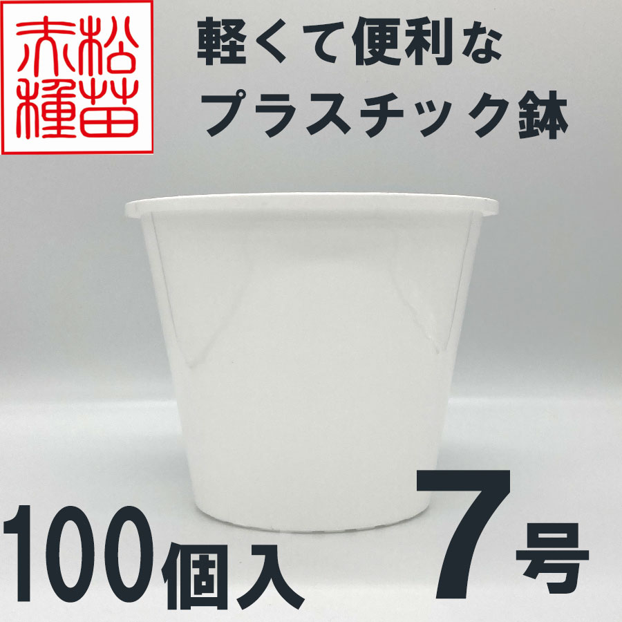 プラスチック鉢 7号 ホワイト 白 100個入 まとめ買い プラ鉢 ヤマトプラスチック