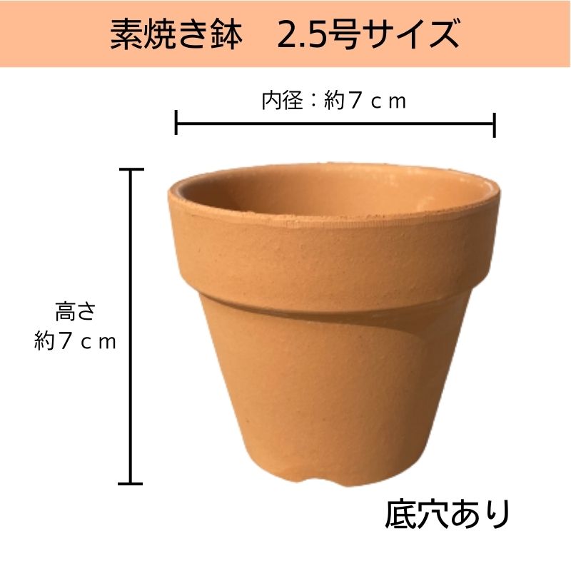 【 2.5号 】 素焼き鉢 深型 日本製 植木...の紹介画像2