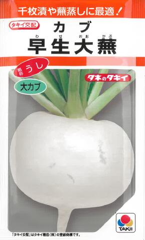 野菜の種 タキイ種苗【カブ種子】早生大蕪（3．5ml） 根菜種子 カブ かぶ 蕪 種 野菜 野菜種 家庭菜園 プランター 菜園 ガーデニング ベランダ 作りやすい 秋播き 種子 秋まき 種まき 野菜 種 8月 に まく 種 野菜 夏 に 植える 野菜 の 種