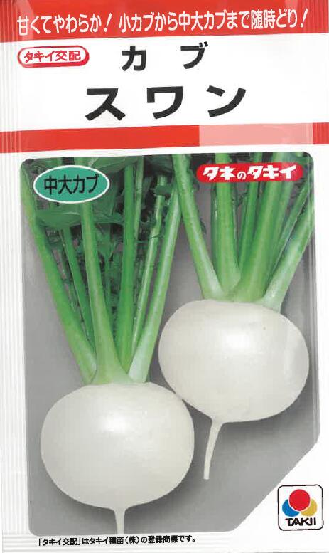 野菜の種 タキイ種苗【カブ種子】スワン（3．5ml） 根菜種子 カブ かぶ 蕪 種 野菜 野菜種 家庭菜園 プランター 菜園 ガーデニング ベランダ 作りやすい 秋播き 種子 秋まき 種まき 野菜 種 8月 に まく 種 野菜 夏 に 植える 野菜 の 種