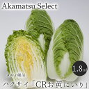 【ネコポス対応】 ハクサイ 白菜 種子 CRお黄にいり DF タキイ交配 1.8ml入り