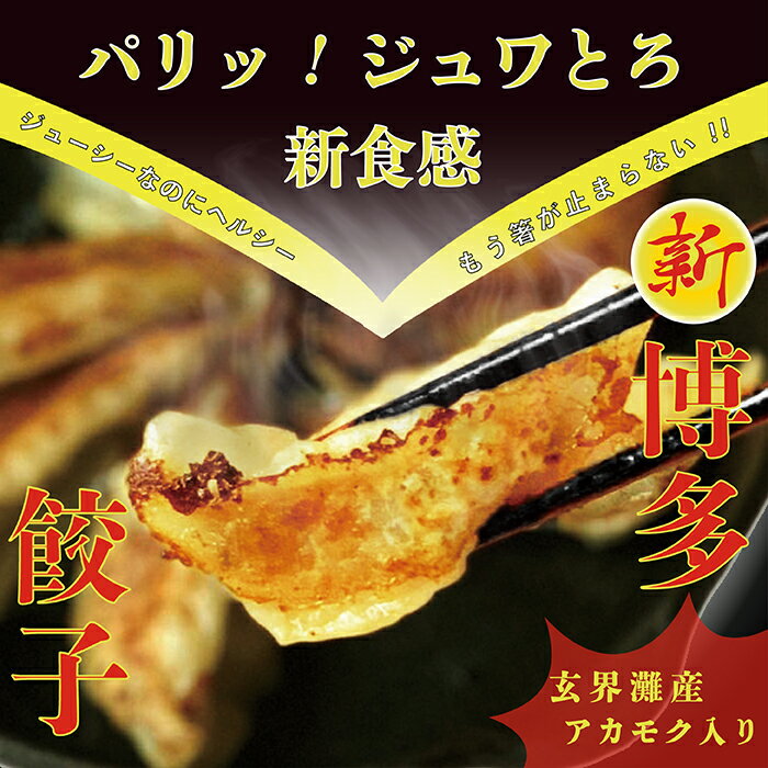 送料無料 博多餃子あかもく入り 16個入り 3パック 餃子 冷凍餃子 王 玄界灘 ご飯のお供に、またビール、日本酒お酒のおつまみにも最高です！ 2