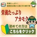 ※あかもくって何？ アカモクとは海藻で、ひじき、昆布、わかめ等の仲間です。 以前は食用としてはあまり知られてなく、船のスクリューに巻き付くなど漁業者を悩ませる邪魔者として扱われていたが、近年ではその驚きの栄養価がメカブやモズク以上と話題になり、スーパーフードとして注目されています。 あかもくは冷凍で製造日から約1年の保存が可能です。 ※美味しい食べ方は？ あかもくはネバネバでシャキシャキした食感と磯の良い香り、そしてクセの無い味がとっても食べやすい海藻なんです。 またいろんな料理と簡単に組み合わせることができるのも特徴です。 例えば、味噌汁や納豆などにあかもくを加えるだけで美味しさ倍増、それと同時に驚きの栄養価を摂取できる体にも嬉しい食品です。 ※宗像（むなかた）ってどこ？ 日本海に面する九州北部福岡県宗像市、最近では世界遺産にも登録された「神宿る島・宗像沖ノ島」で有名になりました。 漁業盛んな宗像は海女発祥の地でもあり、綺麗な海と豊富な魚介類は全国でも有数の漁場として知られています。 その聖海、宗像で採れるあかもくは鮮度、品質が一級品と言えるでしょう。 また、自社ではそれを海中で目利きすることで採取の時点で選び抜かれたあかもくを水揚げでき、素早く加工することで風味をおとすことなく製造することができます。 商品詳細名称宗像のあかもく、あかもっくん品種・ブランドアカモク内容量(g)1040g（80g×13個）原材料あかもく原産国日本原産地福岡漁獲地域福岡県宗像市鐘崎漁港賞味期限または消費目処製造日から1年、解凍後1週間保存方法冷凍お召し上がり方自然解凍配送温度帯冷凍解凍例冷凍庫から冷蔵庫製造者マサエイ水産加工販売者天然海藻が原料ですので製品中小エビ、カニ類が混入している場合があります。製品には影響がありません。また、収穫時期により粘りの強さ色味に違いがあります。アレルギーえび / かに【代表挨拶】 マサエイ水産加工は、毎日の食と健康を支え、世界中の人々から必要とされる企業を目指します。 私は福岡県宗像市鐘崎で生まれ、先祖代々の家業である海士（あま）として努めて参りました。 私の育った日本海玄界灘には新鮮な魚介類はもちろん、まだまだ伝えきれていない「本物のおいしい」そして無添加で栄養価の高いものがたくさんあります。 そういった海の恵みをもっと多くの人に知ってもらいたいという想いがあり、この度「株式会社　マサエイ水産加工」を立ち上げることとなりました。 また、地域の活性化、漁業の発展など社会に貢献することで共に成長していけることと考えています。 代表取締役　正好　輝旭