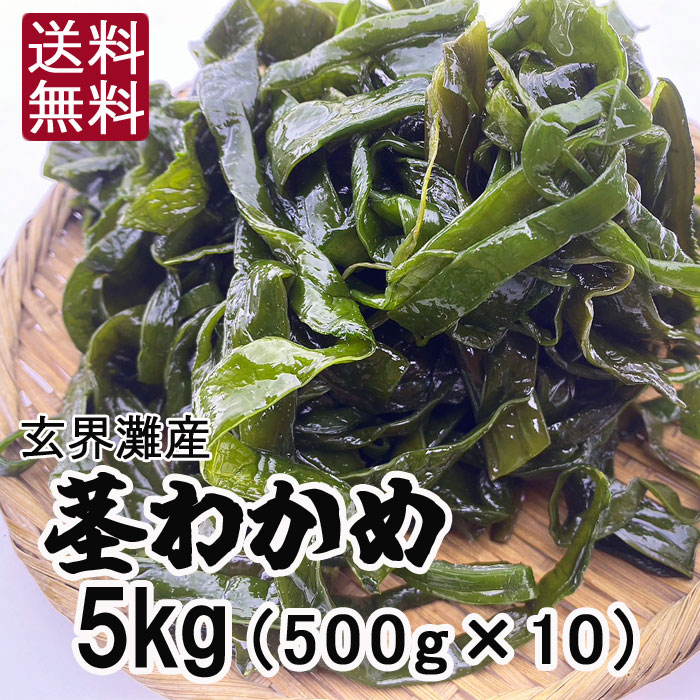 早い者勝ち !在庫処分セール! 玄界灘の湯通し塩蔵 茎わかめ5kg(500g×10) 漁師おすすめレシピ付き!生産者直売 産地直送 お取り寄せ サラダ わかめ...