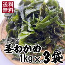 早い者勝ち ！在庫処分セール！ 玄界灘の湯通し塩蔵 茎わかめ1kg×3袋　合計3kg 　漁師おすすめレシピ付き！生産者直売 産地直送 お取り寄せ サラダ　わかめ　海藻　茎ワカメ　佃煮　晩酌　おつまみ