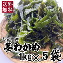 早い者勝ち ！在庫処分セール！ 玄界灘の湯通し塩蔵 茎わかめ1kg×5袋　合計5kg 　漁師おすすめレシピ付き！生産者直売 産地直送 お取り寄せ サラダ　わかめ　海藻　茎ワカメ　佃煮　晩酌　おつまみ