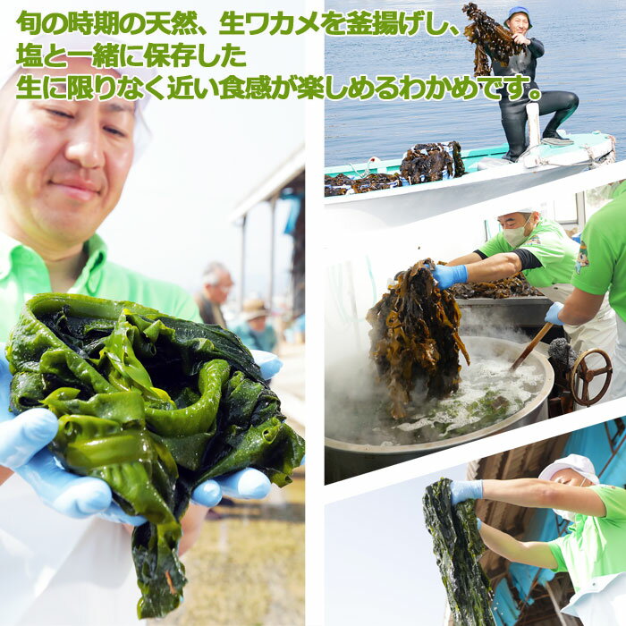 釜揚げわかめ 1200g 120gx10個 海藻 わかめ ワカメ 玄界灘産 食物繊維 宗像 塩蔵わかめです。お客様のアフタフォローに心がけています。美味しく毎日食べていてもらえるようになってますので賞味ください。 3