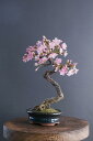 盆栽 桜花 #40(造花)