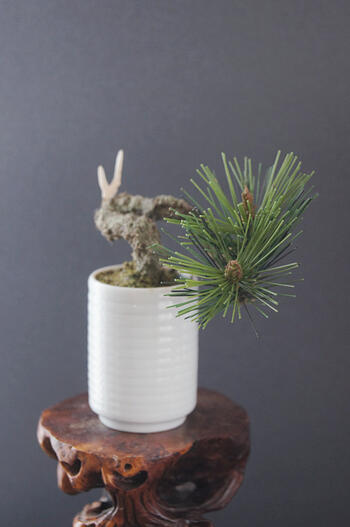 盆栽 松 #77（造花）［鉢変更］【ギフトバッグ対応可】