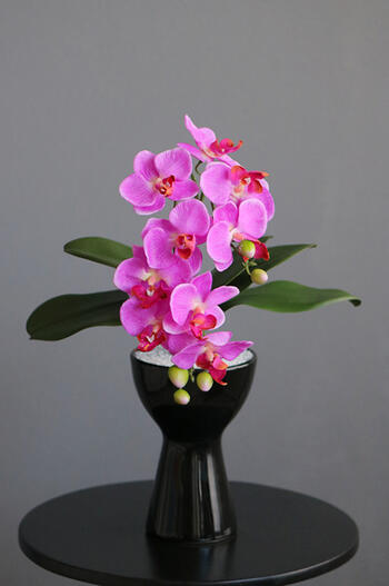 フローラ胡蝶蘭ポット（花器変更）（造花）