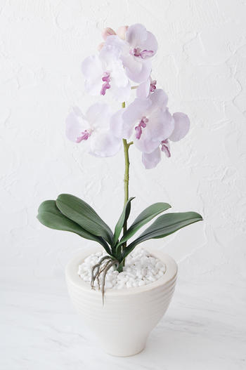 ライトピンク胡蝶蘭 ホワイトポット（花器・花材変更）（造花）