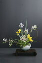 アイリス × フリージア × 陶芸作家 樋口邦春作 青白磁潮流文鉢(造花)