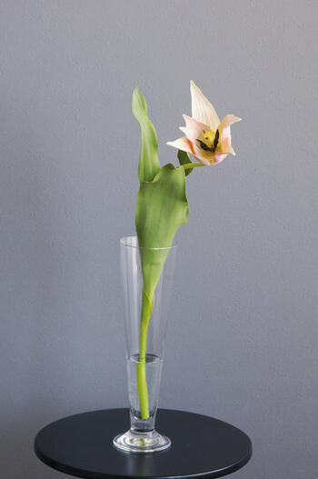 ピーチオレンジチューリップ1輪挿し クリアベース（造花）