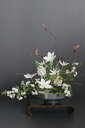 ホワイトクレマチス × オーニソガラム 万古焼花器 和風スタイル(造花)