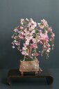 盆栽 枝垂れ桜 #161(造花)