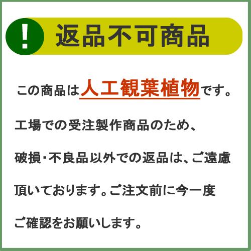 【返品不可】フィッカスベンジャミナ / H180サイズ / 人工グリーン 3