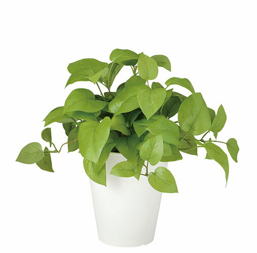 【返品不可】ライムポトス ブッシュ H30サイズ / 人工グリーン