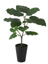 【返品不可】HQウンベラータ ルーツポット H50サイズ / 人工グリーン / 光触媒加工