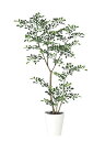 【返品不可】トネリコ FST / H120サイズ / 人工グリーン / 光触媒加工