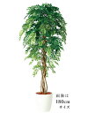 【返品不可】アカシアリアナ / H150サイズ / 人工グリーン / 光触媒加工