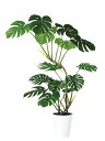 【返品不可】ワイルドモンステラ / H160サイズ / 人工グリーン / 光触媒加工