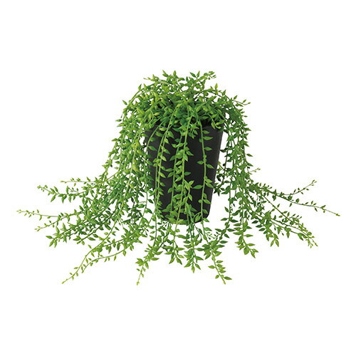 【返品不可】グリーンネックレス / H20サイズ / 人工グリーン