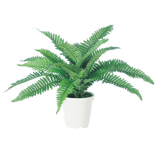 【返品不可】ボストンファンM / H35サイズ / 人工グリーン / 光触媒加工