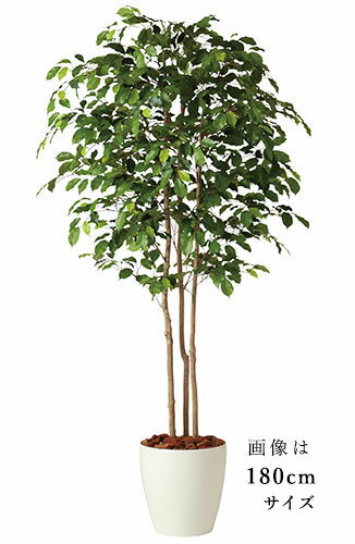 Rakuten - 【返品不可】フィッカスベンジャミナ トリプル / H150サイズ / 人工グリーン / 光触媒加工