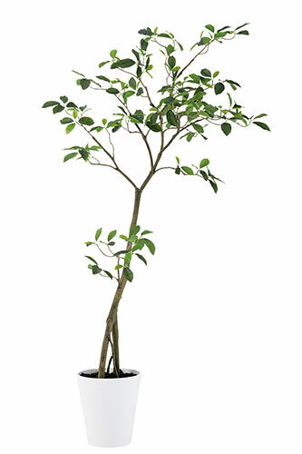 【返品不可】ガジュマル FST / H150サイズ / 人工グリーン