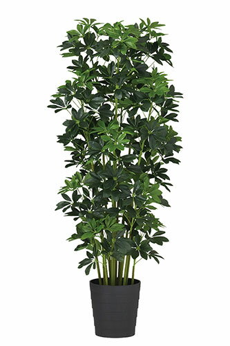 【返品不可】グリーンカポック / H150サイズ / 人工グリーン / 光触媒加工