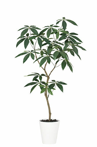 商品番号 sg91866b 商品説明 人工の観葉植物です。 ※ 一点ずつ手作業による組み立てのため、わずかに形の変化があることや、すべてが全く同じ位置、配列でない場合がございます。またモニターの環境により色の見え方が実物より少し異なる場合があることを、予めご了承ください。 サイズ H(高さ) 約120cm × W(横幅) 約60cm 鉢 サンド仕上(表面にサンドを装着)でお届けします。 鉢サイズ：H(高さ) 22.8cm × Φ(直径) 21cm 納品時期 在庫を確認の上、注文受付後の受注生産品であるため、入金確認後から数日～1週間程度お時間をいただきます（繁忙期などはそれ以上かかる場合がございます）。お受取希望時期が決まっている場合は、余裕をもってご注文ください。 お手入れ 湿気の多い場所にはなるべく置かないようにしてください。 ホコリは毛ばたき等で除去してください。人工植物（造花）なので水遣りなどの手間はかかりません。 ギフトについて 人工グリーンのギフトの場合はご希望にあわせて有料のギフトラッピングと立札（祝い札）を受け付けております。 ◇ タイプA　ラッピング ＞＞ ◇ タイプB　ラッピング＋立札 ＞＞＞＞ ラッピングについてはこちらのページをご覧下さい。 シミュレーション画像制作 フラワーやグリーンを飾りたい空間に、当店取り扱いのアレンジメントまたは人工植物、盆栽を設置した簡易的なシミュレーション画像の制作サービスを実施しています。 詳細・お申込みはこちらのページから→