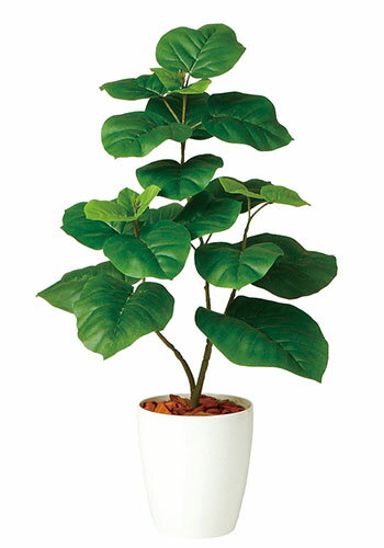 商品番号 sg98923a 商品説明 人工の観葉植物です。 ※ 一点ずつ手作業による組み立てのため、わずかに形の変化があることや、すべてが全く同じ位置、配列でない場合がございます。またモニターの環境により色の見え方が実物より少し異なる場合があることを、予めご了承ください。 サイズ H(高さ) 約80cm × W(横幅) 約50cm 鉢 バーク(木のチップ)を同梱します。器表面に敷いてお使いください。 鉢サイズ：H(高さ) 20.2cm × Φ(直径) 18.4cm 　 光触媒 光（紫外線）が当たることにより、空気中から活性酸素を作ります。その強い酸化力により、消臭、抗菌、防汚、防カビ、シックハウス症候群防止などの効果を発揮します。 納品時期 在庫を確認の上、注文受付後の受注生産品であるため、入金確認後から数日～1週間程度お時間をいただきます（繁忙期などはそれ以上かかる場合がございます）。お受取希望時期が決まっている場合は、余裕をもってご注文ください。 お手入れ 湿気の多い場所にはなるべく置かないようにしてください。 ホコリは毛ばたき等で除去してください。人工植物（造花）なので水遣りなどの手間はかかりません。 ギフトについて 人工グリーンのギフトの場合はご希望にあわせて有料のギフトラッピングと立札（祝い札）を受け付けております。 ◇ タイプA　ラッピング ＞＞ ◇ タイプB　ラッピング＋立札 ＞＞＞＞ ラッピングについてはこちらのページをご覧下さい。 シミュレーション画像制作 フラワーやグリーンを飾りたい空間に、当店取り扱いのアレンジメントまたは人工植物、盆栽を設置した簡易的なシミュレーション画像の制作サービスを実施しています。 詳細・お申込みはこちらのページから→