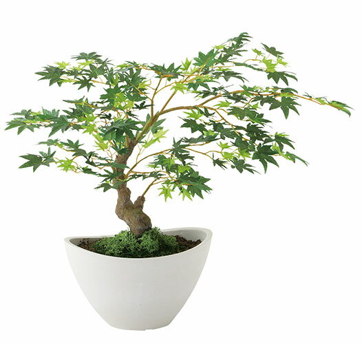 【返品不可】ヤマモミジ ボウル GREEN / 人工グリーン / 光触媒加工