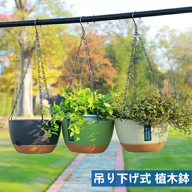 楽天市場】ハンギング チェーン 観葉植物の通販