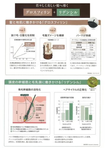 ���å� �ѥ��ե��å��ץ������� �������� �����ѡ��֥饦�� �����ס� 800ml ��ե��� �ȥ꡼�ȥ��� 800g ��ե��� ��˥塼����