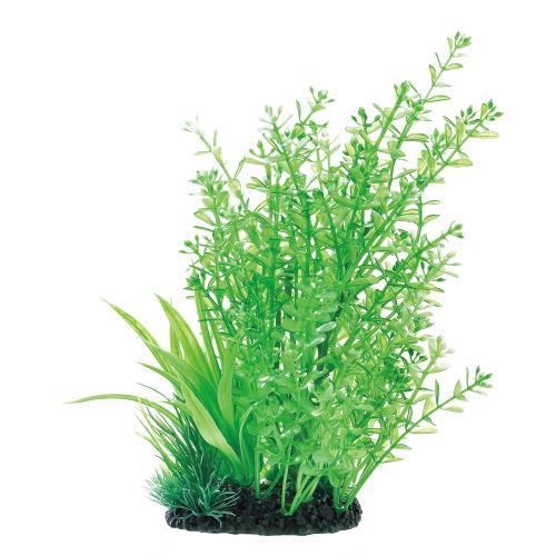 �����å��� ������� MIX�ץ��� L �ѡ���