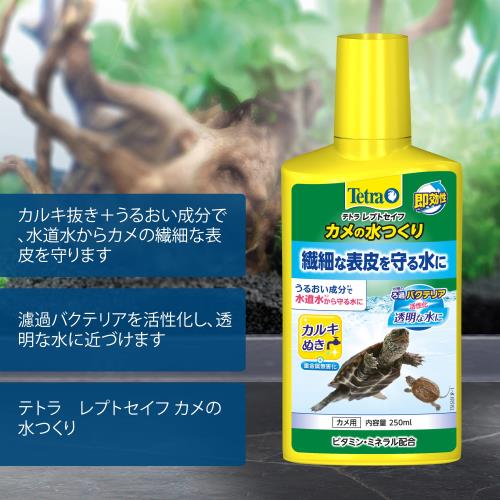 �ƥȥ� (Tetra) �ƥȥ� ��ץȥ����� ����ο�Ĥ��� 250ml �����ɽ����� ���륭ȴ�� ����Х��ƥꥢ������ �ӥ��ߥ�ߥͥ���۹� ���Ĵ���� �������ꥦ�� ���� ��