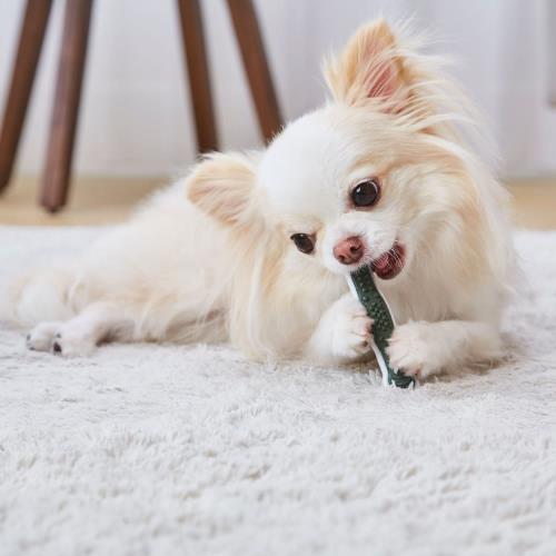 ペティオ (Petio) 犬用おもちゃ かんでるボーン デンタル SS ハード